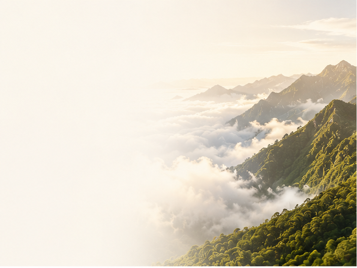 云南云雾山野与草本植物